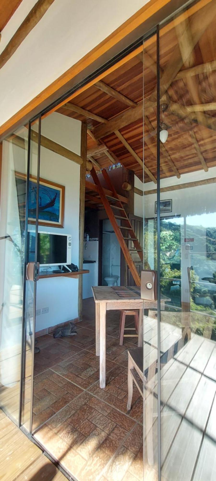 Girassol