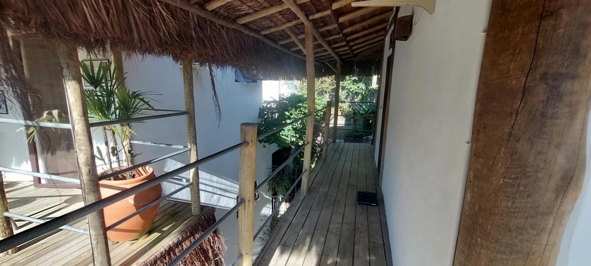 Girassol * Ilhabela